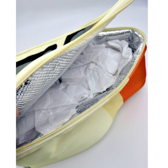 Disney World Parks Monorail Lunch Box Tote Bag Cool Bag Chill Insulated BNWT - Picture 4 of 14